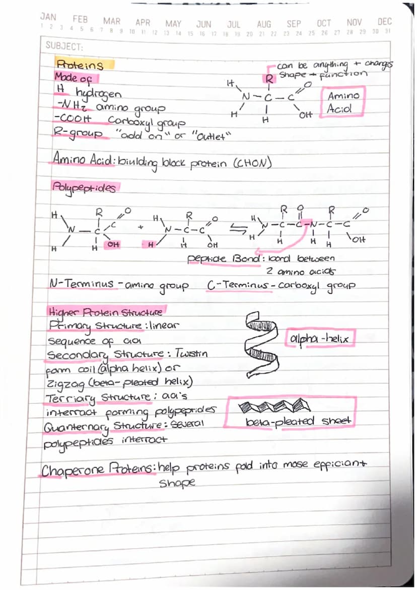 
<h2 id="introduction">Introduction</h2>
<p>The Chemistry of Life is a fundamental topic in biology that explores the basic building blocks 