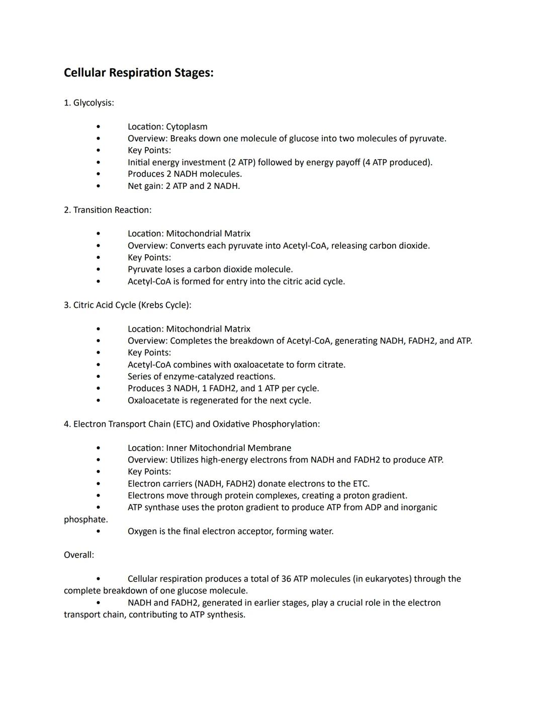 Cellular Respiration Stages