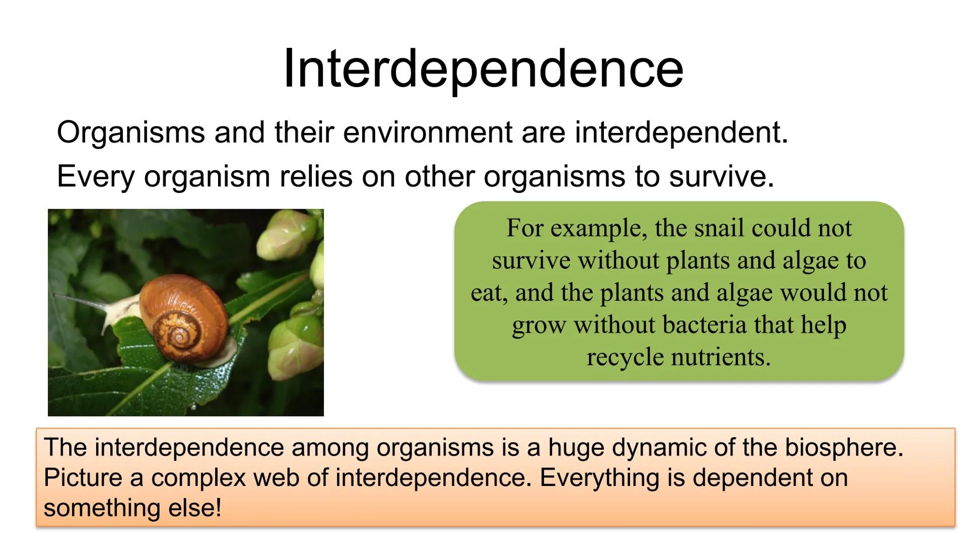 # ECOLOGY

Topic: Introduction to Ecology
Student Notes ECOLOGY is the scientific study of interactions among
organisms with each other and 
