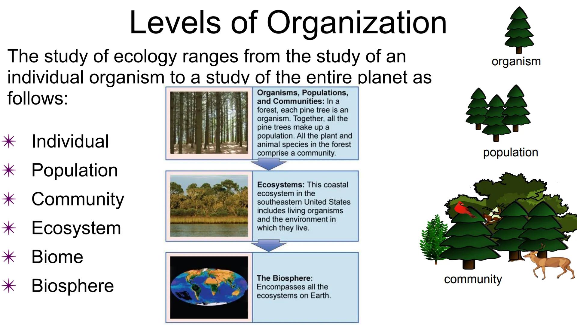 # ECOLOGY

Topic: Introduction to Ecology
Student Notes ECOLOGY is the scientific study of interactions among
organisms with each other and 