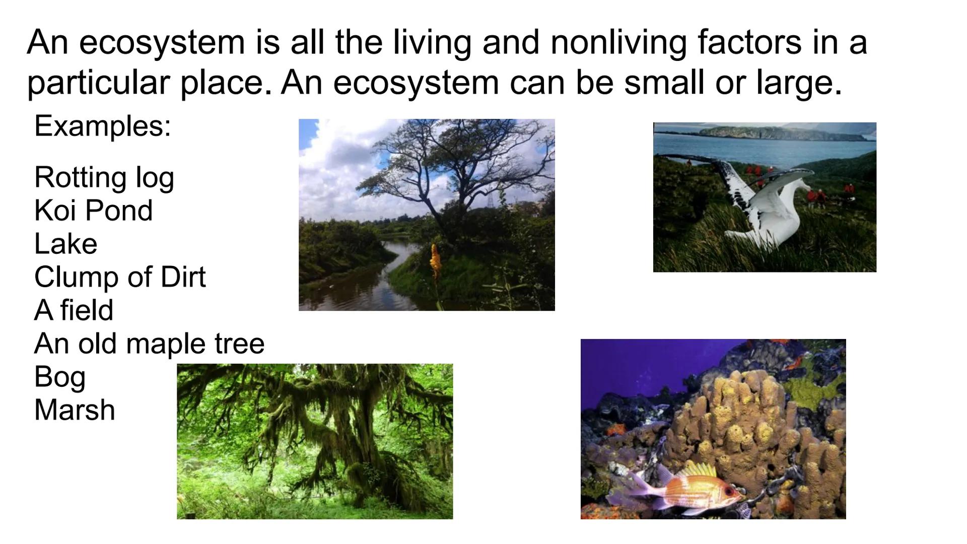 # ECOLOGY

Topic: Introduction to Ecology
Student Notes ECOLOGY is the scientific study of interactions among
organisms with each other and 