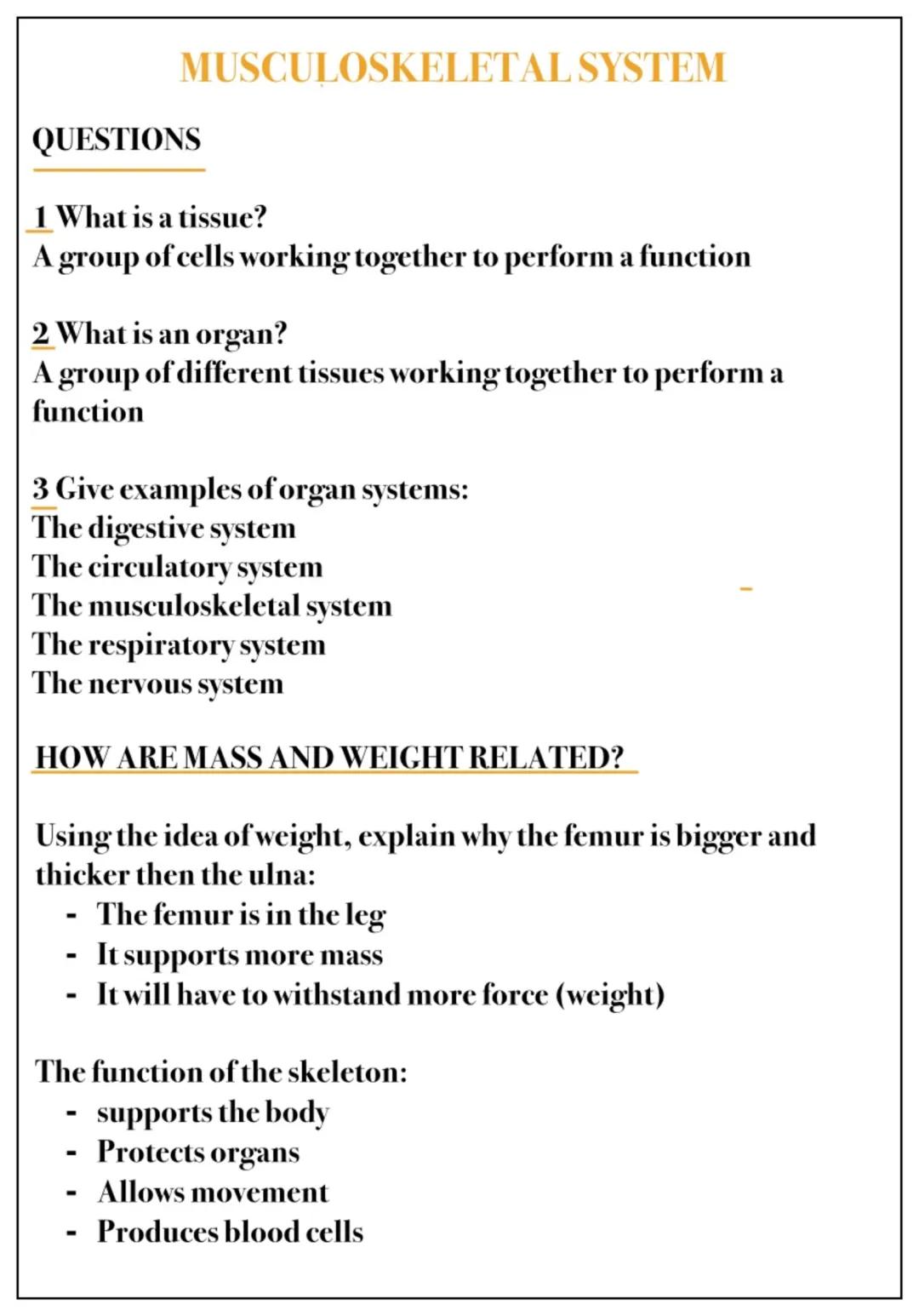 Musculoskeletal system  