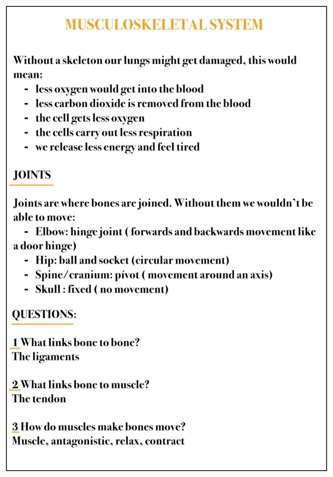 MUSCULOSKELETAL SYSTEM
QUESTIONS
1 What is a tissue?
A group of cells working together to perform a function
2 What is an organ?
A group of 