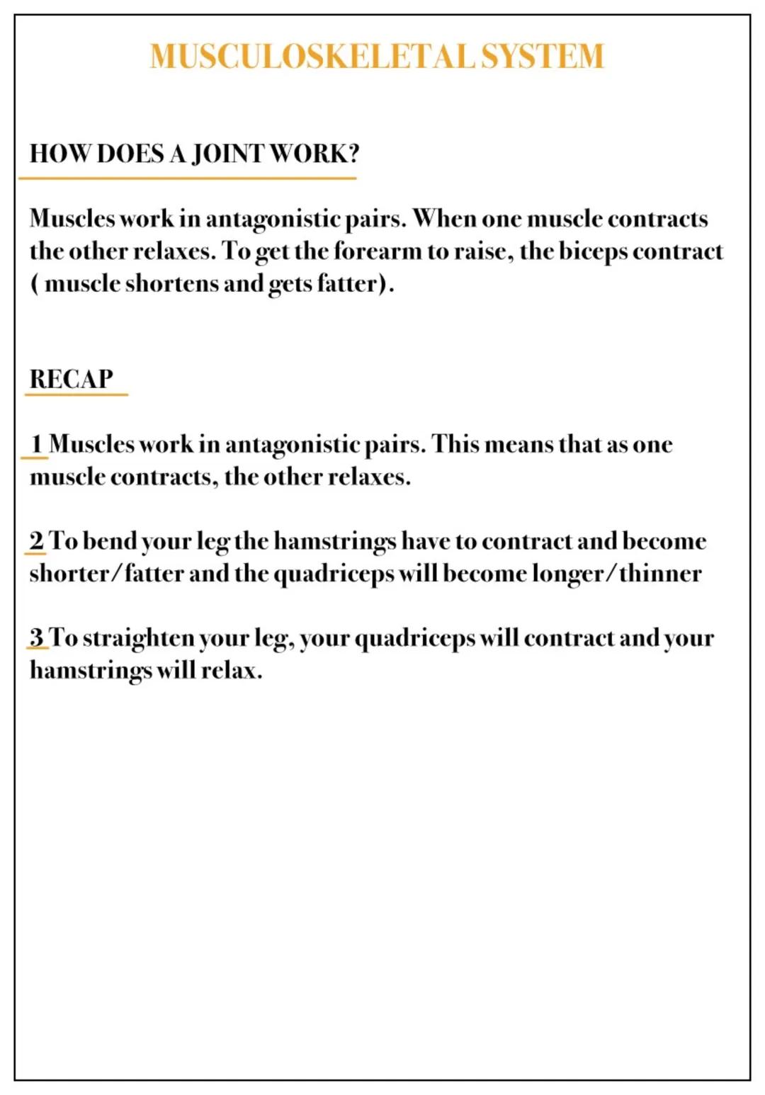 MUSCULOSKELETAL SYSTEM
QUESTIONS
1 What is a tissue?
A group of cells working together to perform a function
2 What is an organ?
A group of 