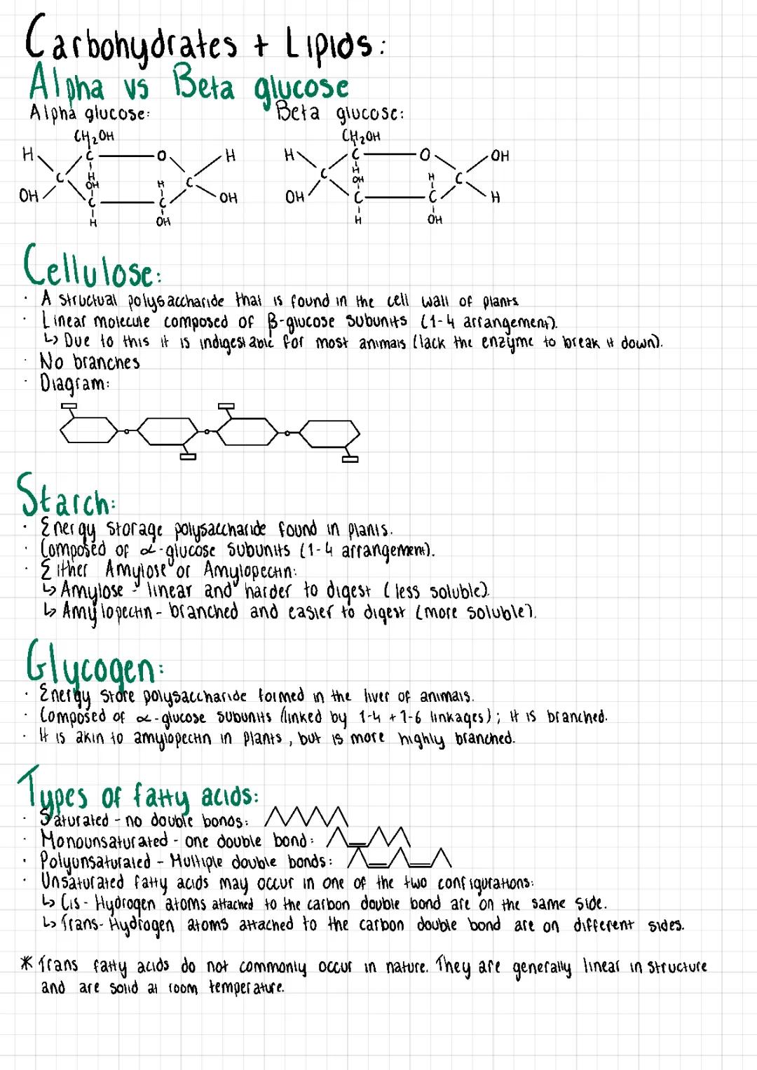 Biology - Carbohydrates and lipids
