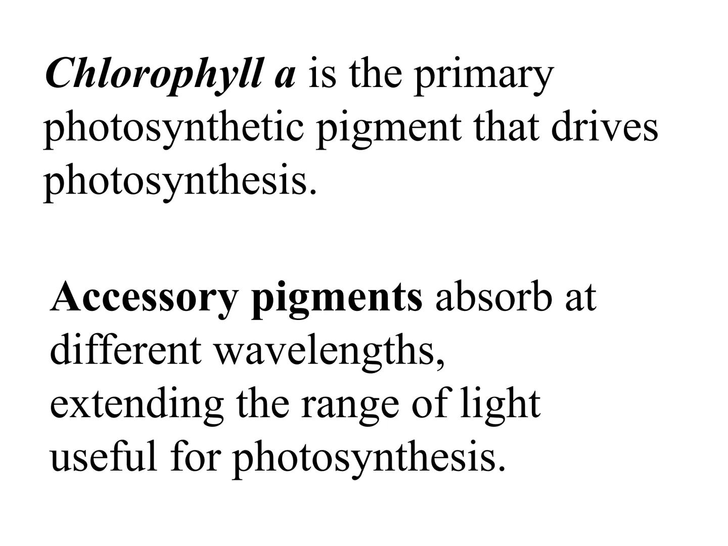 
<h2 id="introduction">Introduction</h2>
<p>Photosynthesis and respiration are two crucial processes that occur in plants and other organism