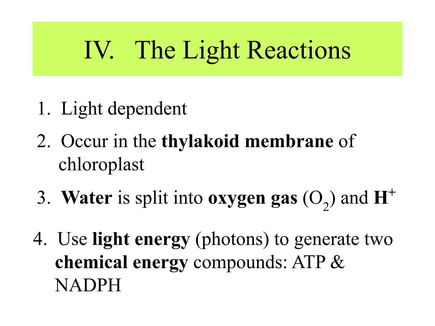 
<h2 id="introduction">Introduction</h2>
<p>Photosynthesis and respiration are two crucial processes that occur in plants and other organism