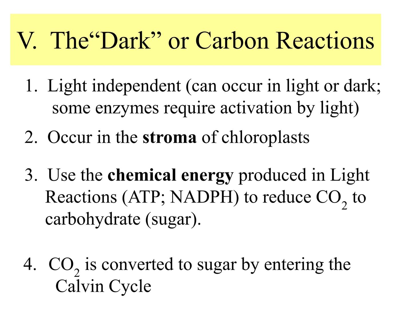 
<h2 id="introduction">Introduction</h2>
<p>Photosynthesis and respiration are two crucial processes that occur in plants and other organism