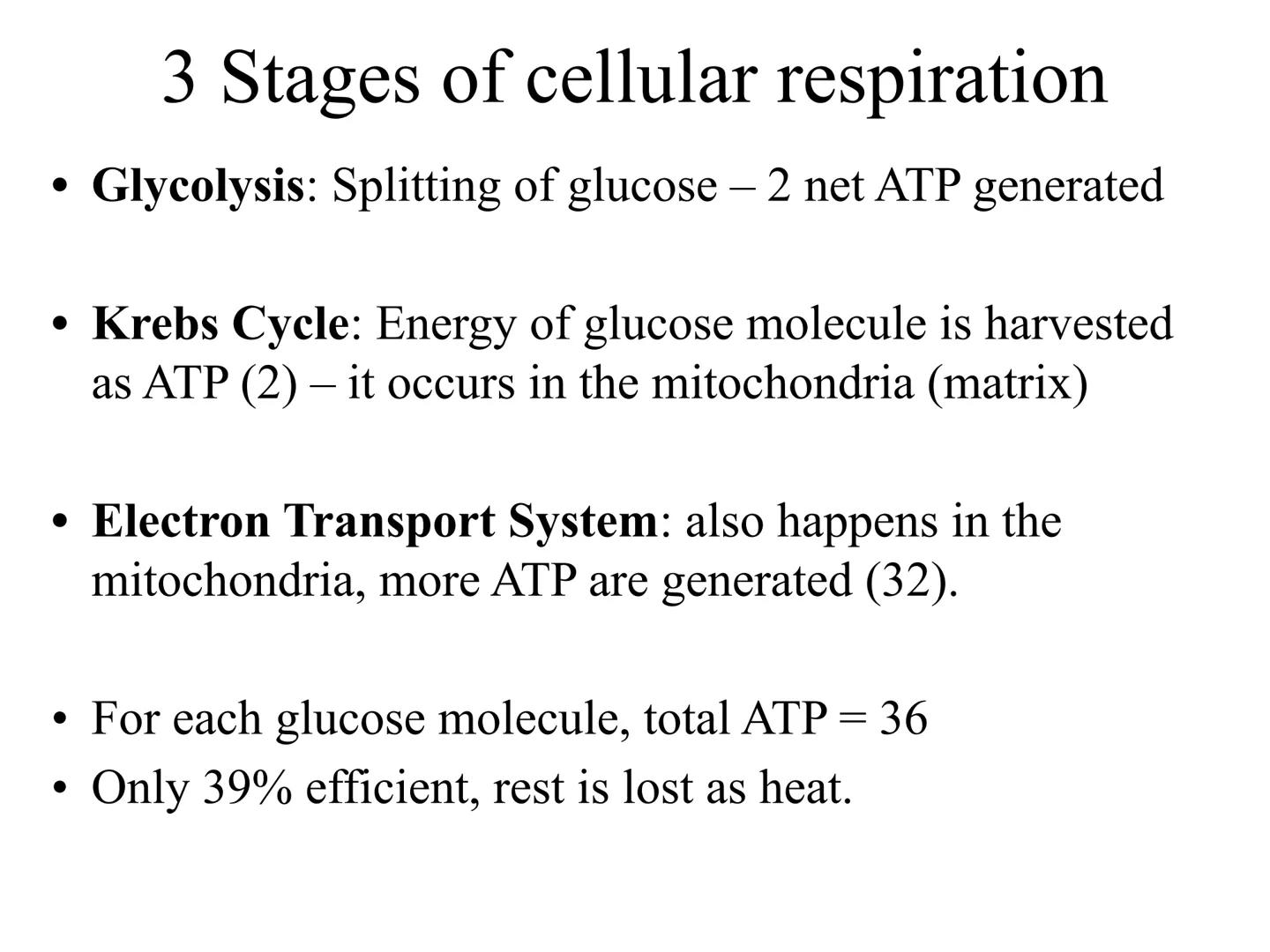 
<h2 id="introduction">Introduction</h2>
<p>Photosynthesis and respiration are two crucial processes that occur in plants and other organism