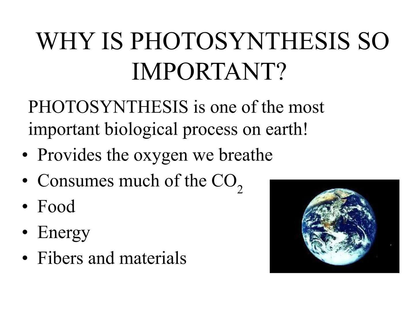 
<h2 id="introduction">Introduction</h2>
<p>Photosynthesis and respiration are two crucial processes that occur in plants and other organism