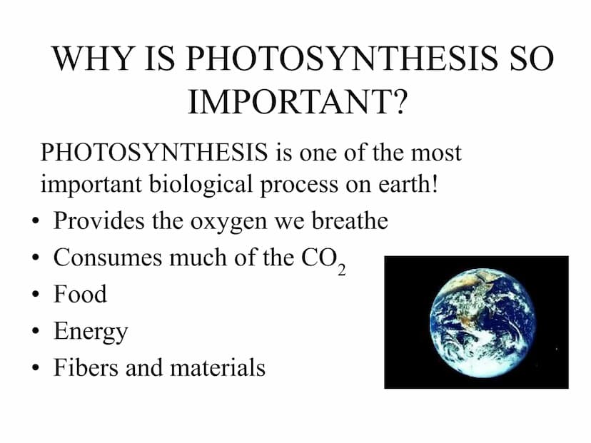 
<h2 id="introduction">Introduction</h2>
<p>Photosynthesis and respiration are two crucial processes that occur in plants and other organism