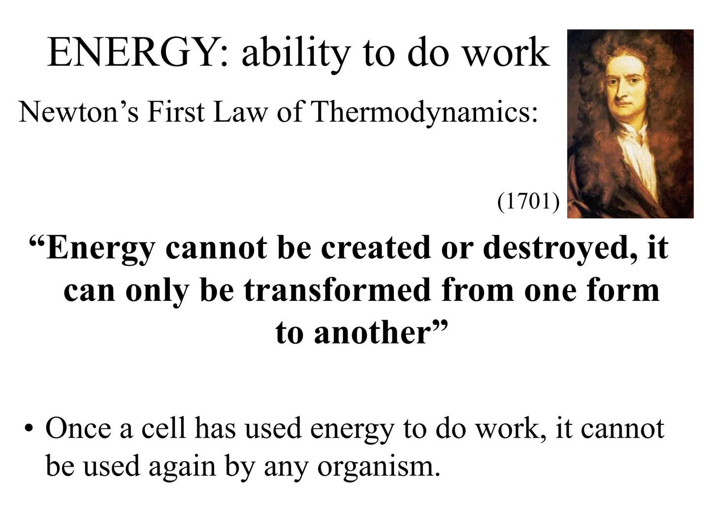 
<h2 id="introduction">Introduction</h2>
<p>Photosynthesis and respiration are two crucial processes that occur in plants and other organism