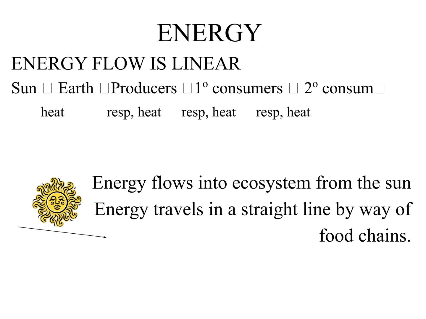 
<h2 id="introduction">Introduction</h2>
<p>Photosynthesis and respiration are two crucial processes that occur in plants and other organism