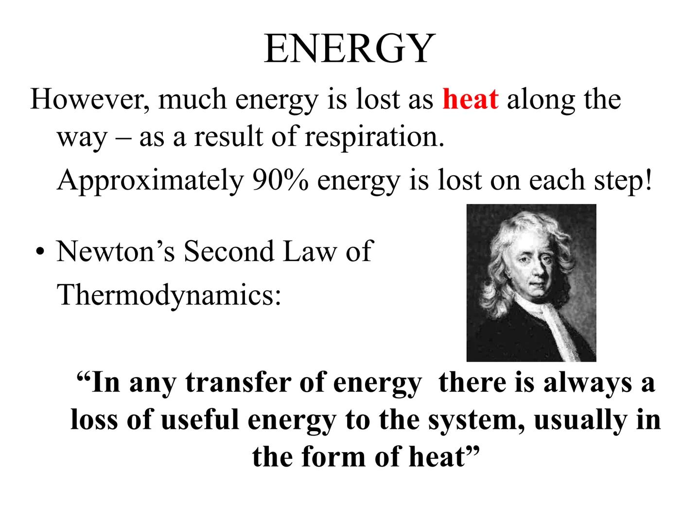 
<h2 id="introduction">Introduction</h2>
<p>Photosynthesis and respiration are two crucial processes that occur in plants and other organism