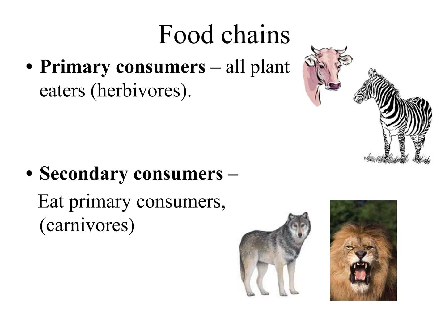 
<h2 id="introduction">Introduction</h2>
<p>Photosynthesis and respiration are two crucial processes that occur in plants and other organism