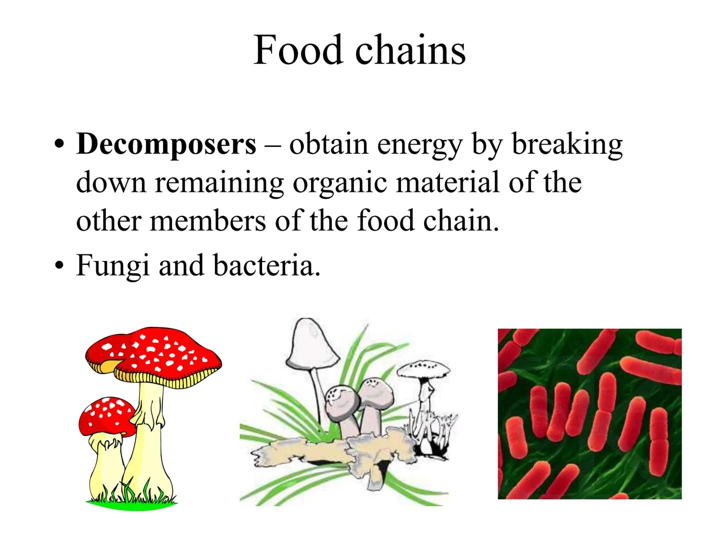 
<h2 id="introduction">Introduction</h2>
<p>Photosynthesis and respiration are two crucial processes that occur in plants and other organism