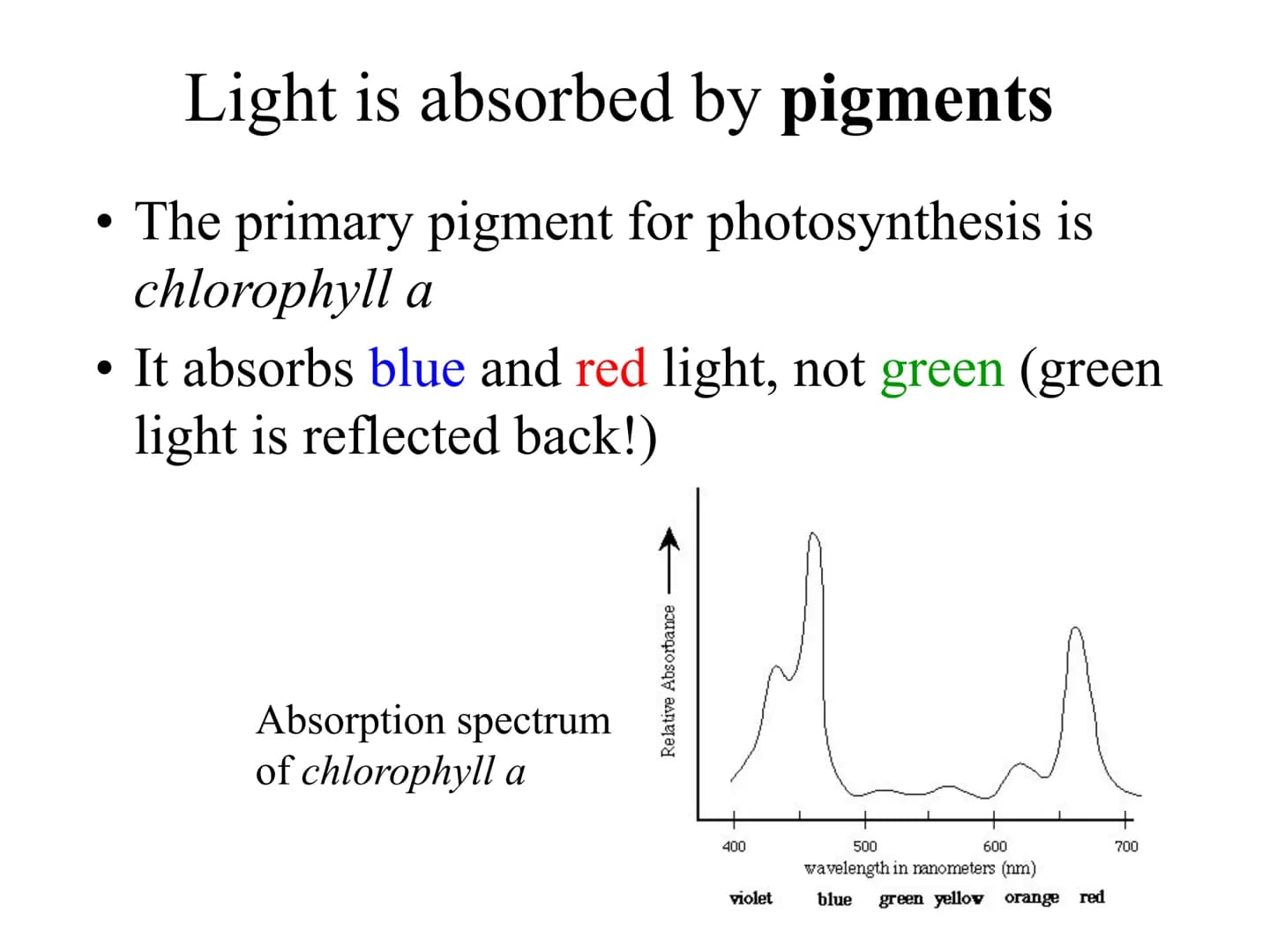 
<h2 id="introduction">Introduction</h2>
<p>Photosynthesis and respiration are two crucial processes that occur in plants and other organism