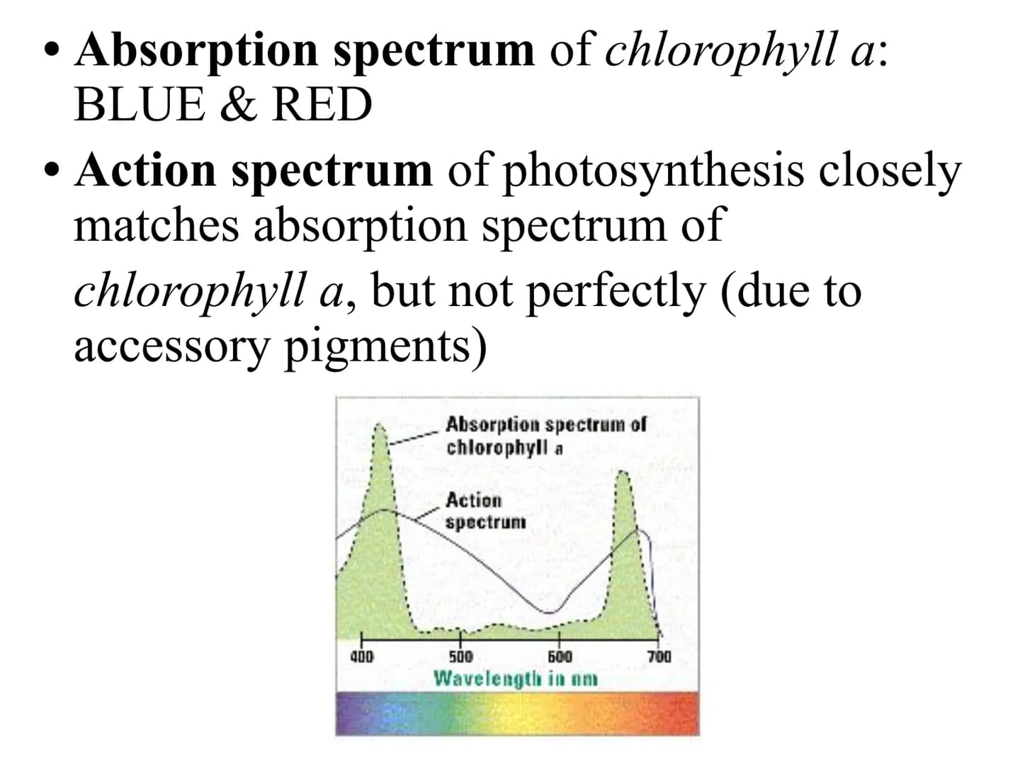 
<h2 id="introduction">Introduction</h2>
<p>Photosynthesis and respiration are two crucial processes that occur in plants and other organism