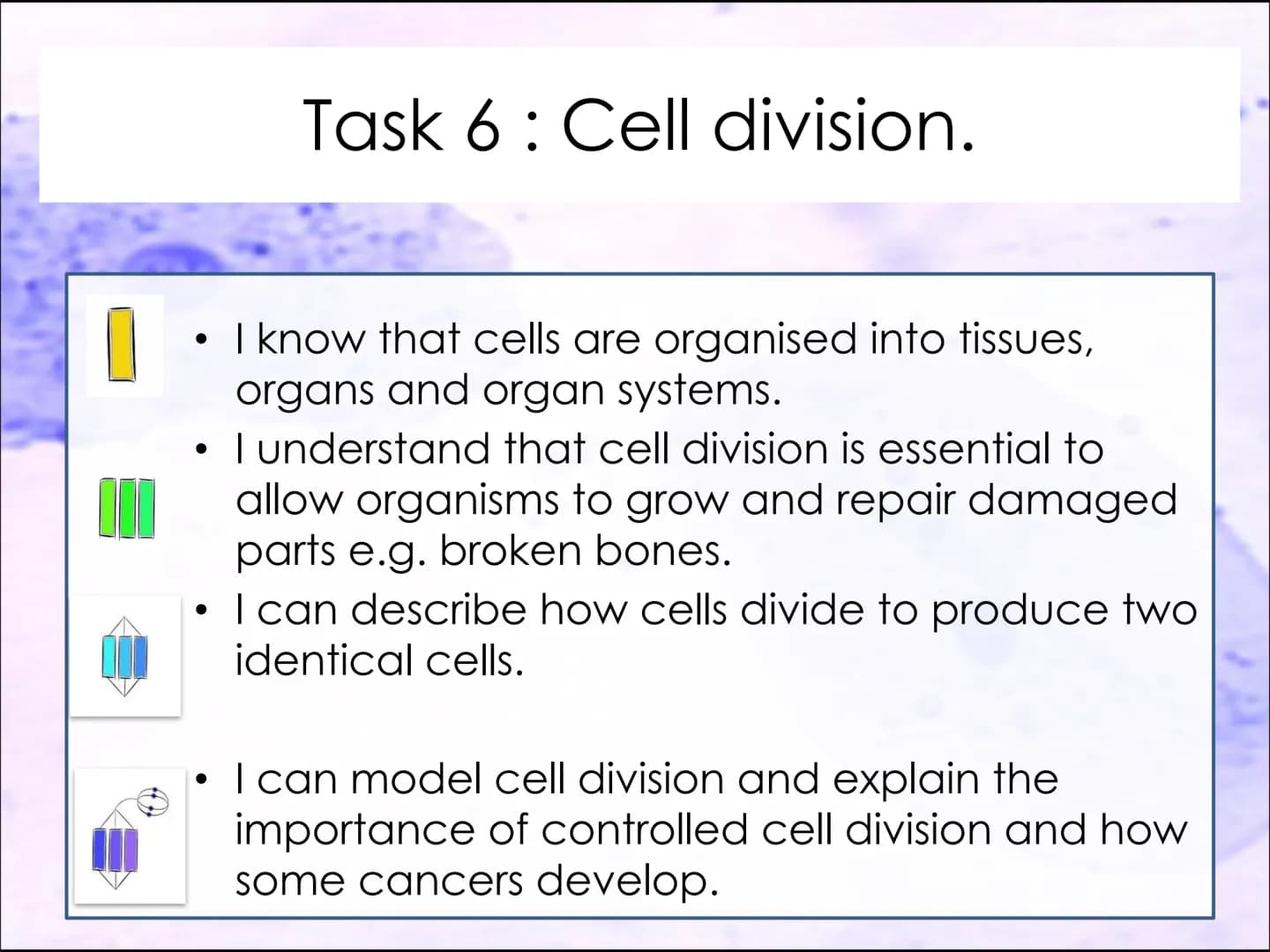 Video time
TWIG video clip : Cell division: Mitosis
Twig 100
Task 6: Cell division.
●
I know that cells are organised into tissues,
organs a