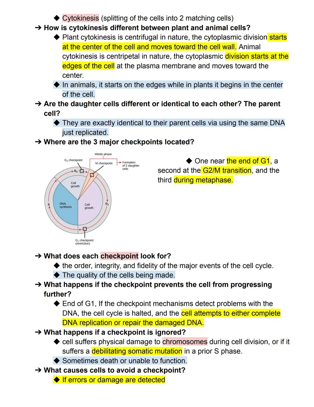Case Study 5 Test Review Sheet
Key: Important, vocab, rewordings
→ What are the 3 phases of the Cell Cycle?
◆ Interphase, Mitosis, Cytokines