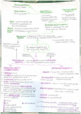 Know Biopsychology  thumbnail