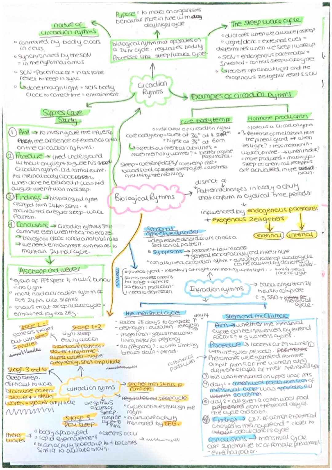 Parasympathetic
calming state.
Sympathenc
crousing state
CNS = collects, processes and
responds to information in
our environment
Brain - ce