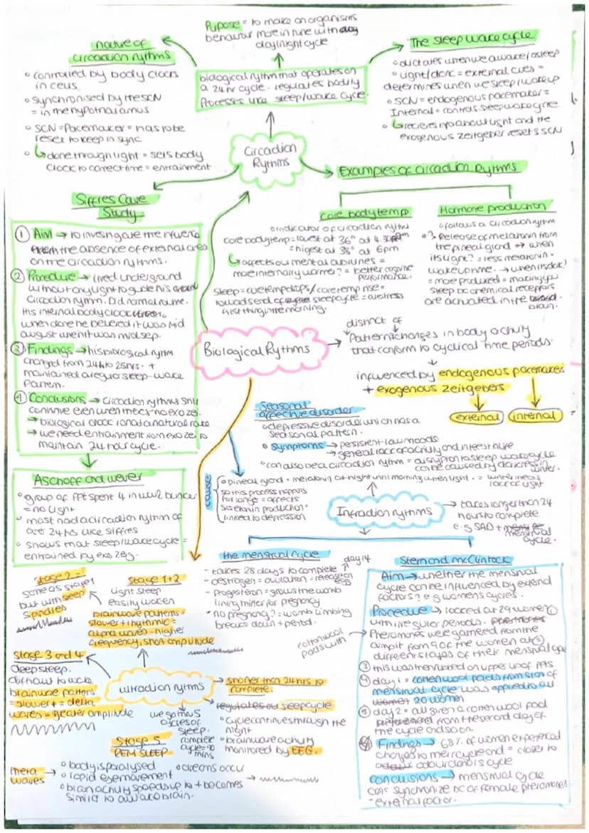 Parasympathetic
calming state.
Sympathenc
crousing state
CNS = collects, processes and
responds to information in
our environment
Brain - ce