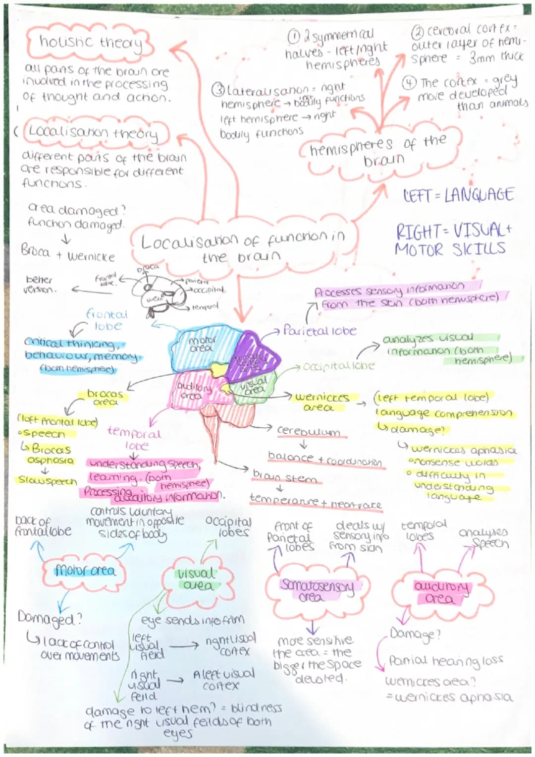 Parasympathetic
calming state.
Sympathenc
crousing state
CNS = collects, processes and
responds to information in
our environment
Brain - ce