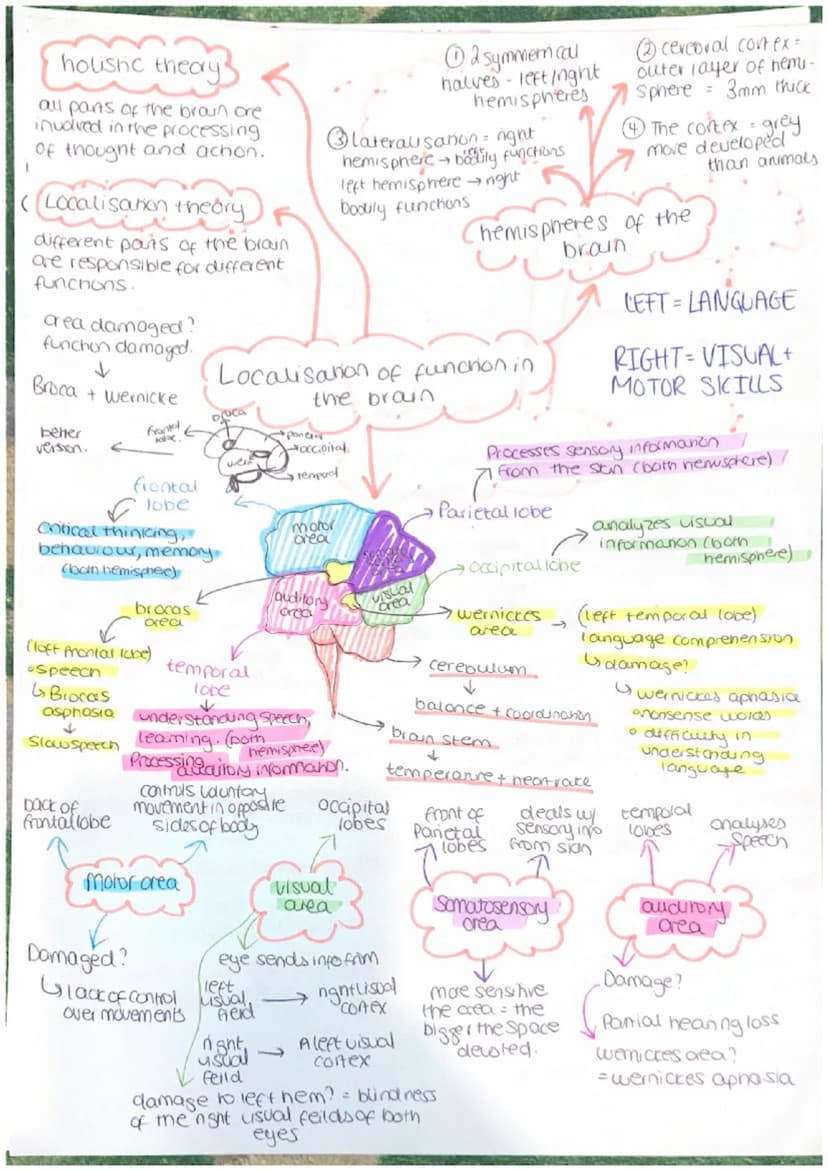 Parasympathetic
calming state.
Sympathenc
crousing state
CNS = collects, processes and
responds to information in
our environment
Brain - ce