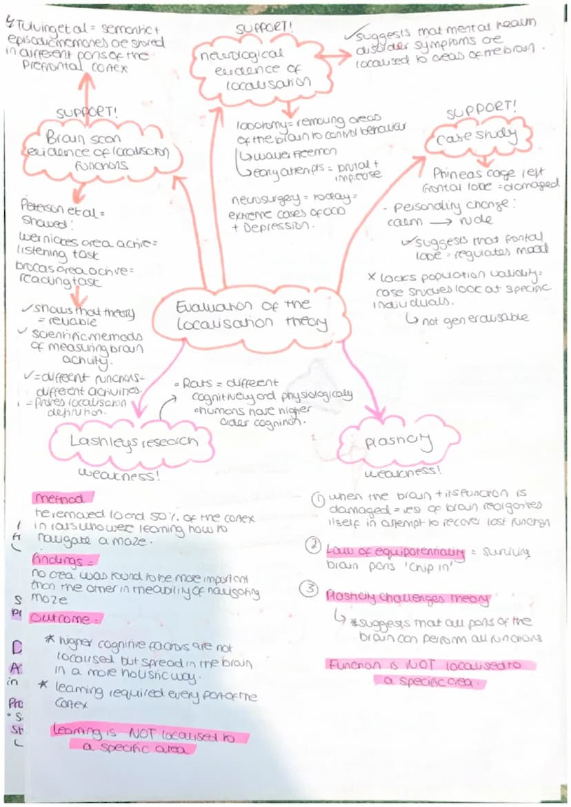 Parasympathetic
calming state.
Sympathenc
crousing state
CNS = collects, processes and
responds to information in
our environment
Brain - ce