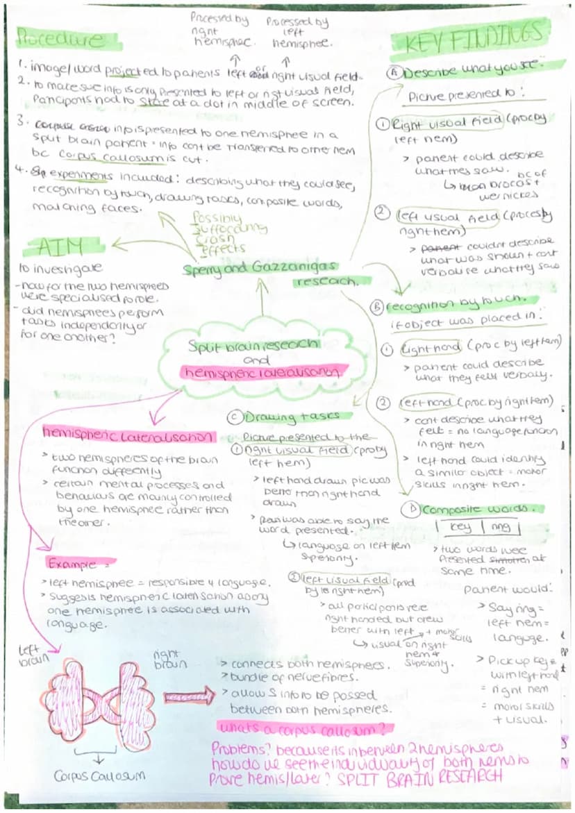 Parasympathetic
calming state.
Sympathenc
crousing state
CNS = collects, processes and
responds to information in
our environment
Brain - ce