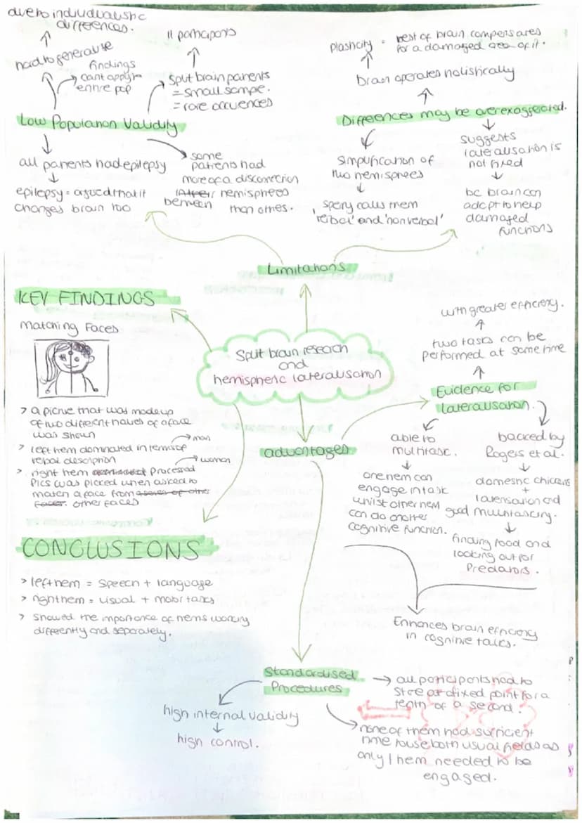Parasympathetic
calming state.
Sympathenc
crousing state
CNS = collects, processes and
responds to information in
our environment
Brain - ce