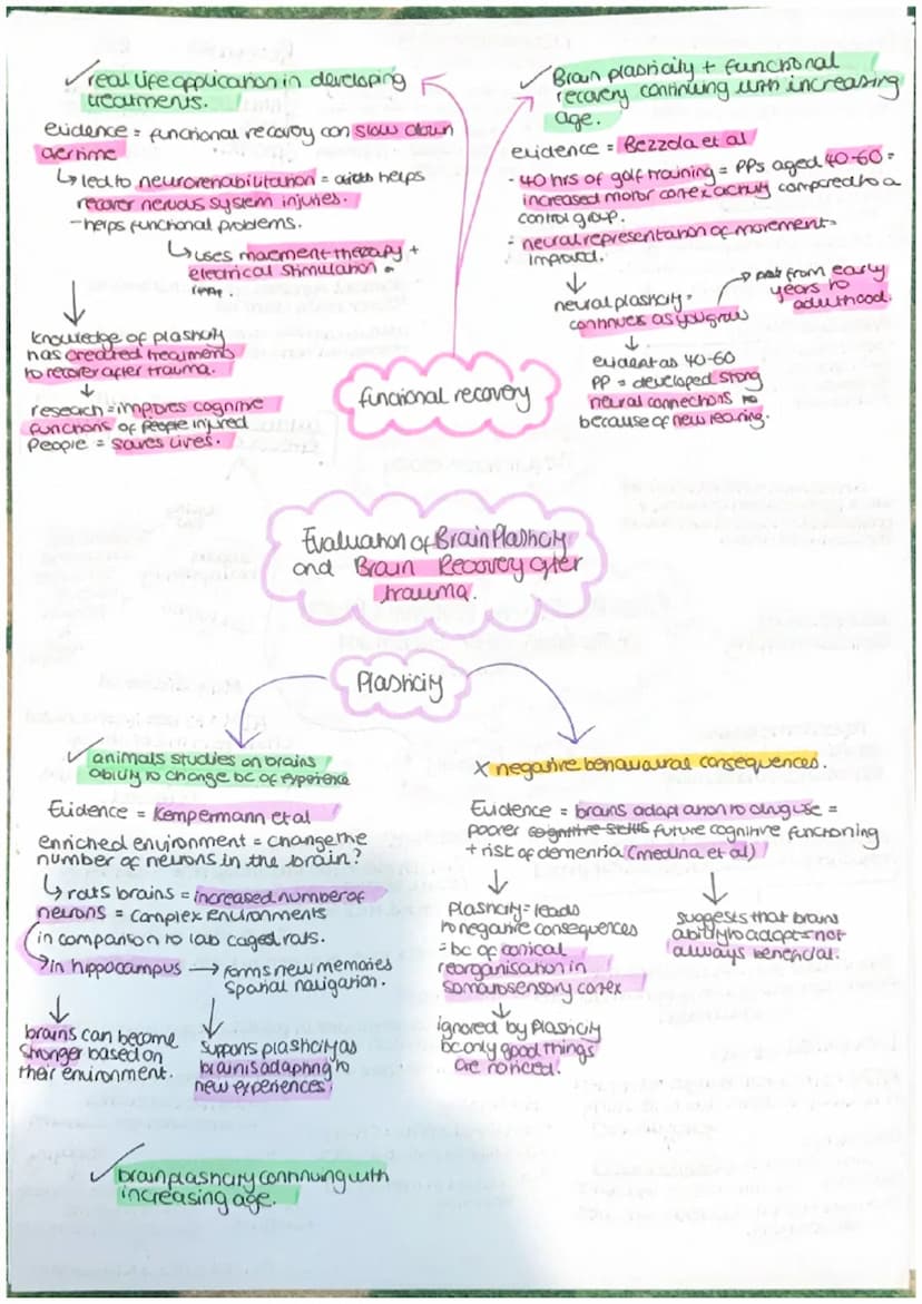 Parasympathetic
calming state.
Sympathenc
crousing state
CNS = collects, processes and
responds to information in
our environment
Brain - ce