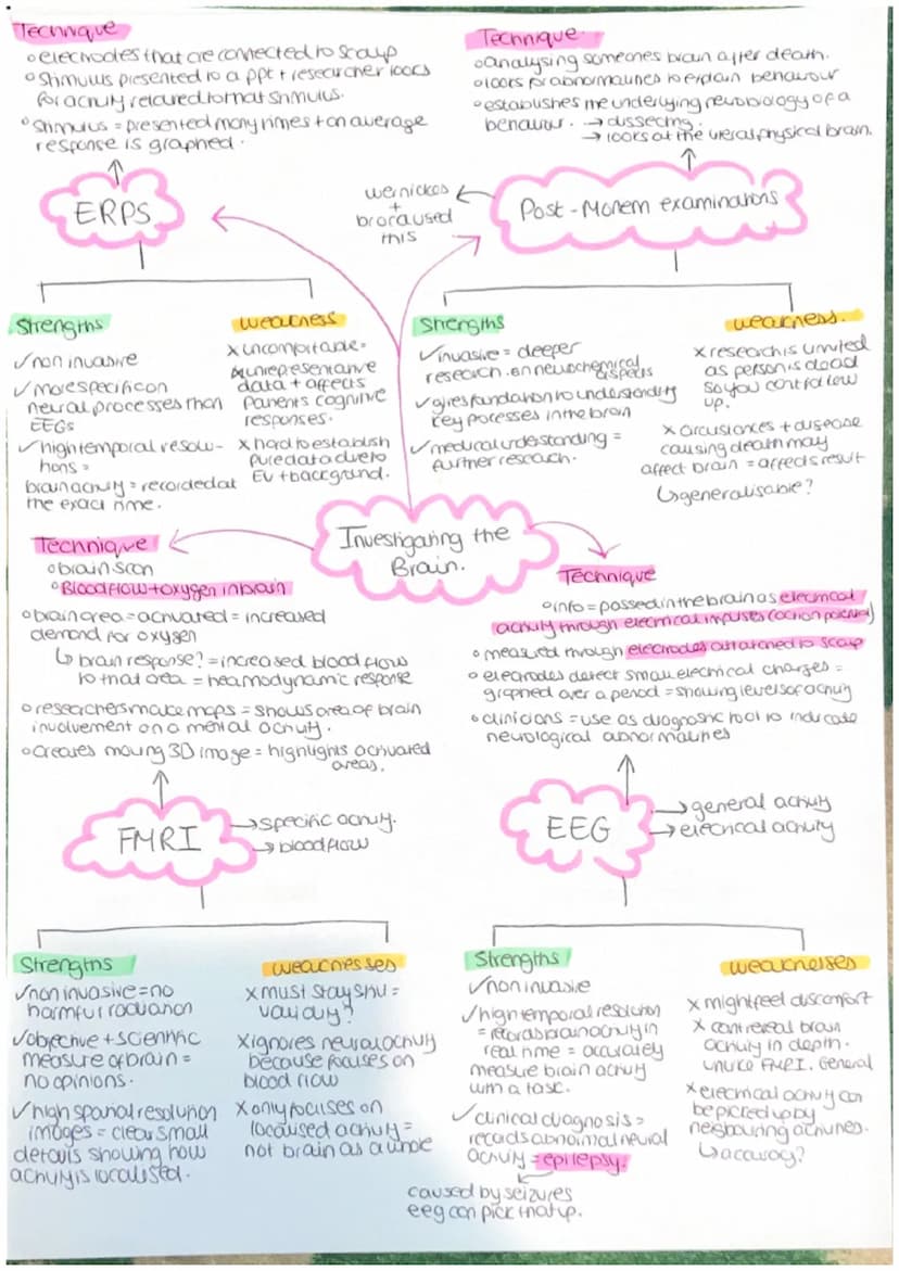 Parasympathetic
calming state.
Sympathenc
crousing state
CNS = collects, processes and
responds to information in
our environment
Brain - ce