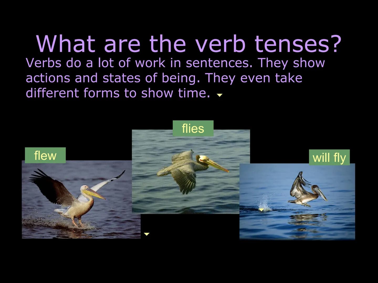 Understanding verb tense
What are the verb tenses?
Present and present perfect
Past and past perfect
Future and future perfect
Consistency o