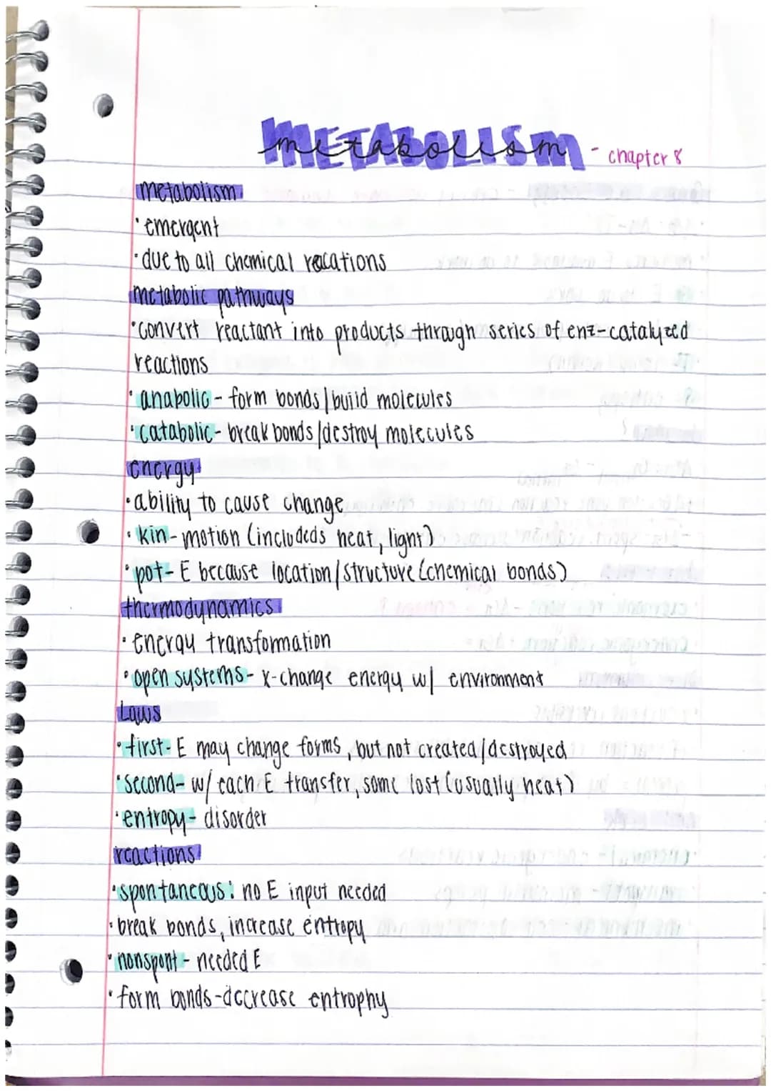 Etabolismy
metabolism
'emergent
•due to all chemical recations
metabolic pathways
-convert reactant into products through series of enz-cata