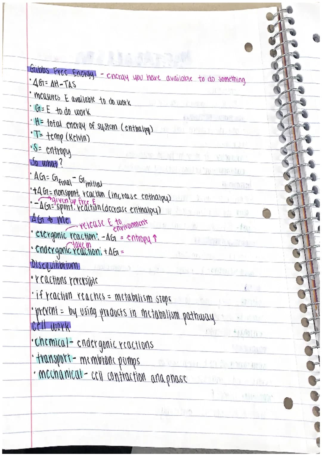 Etabolismy
metabolism
'emergent
•due to all chemical recations
metabolic pathways
-convert reactant into products through series of enz-cata
