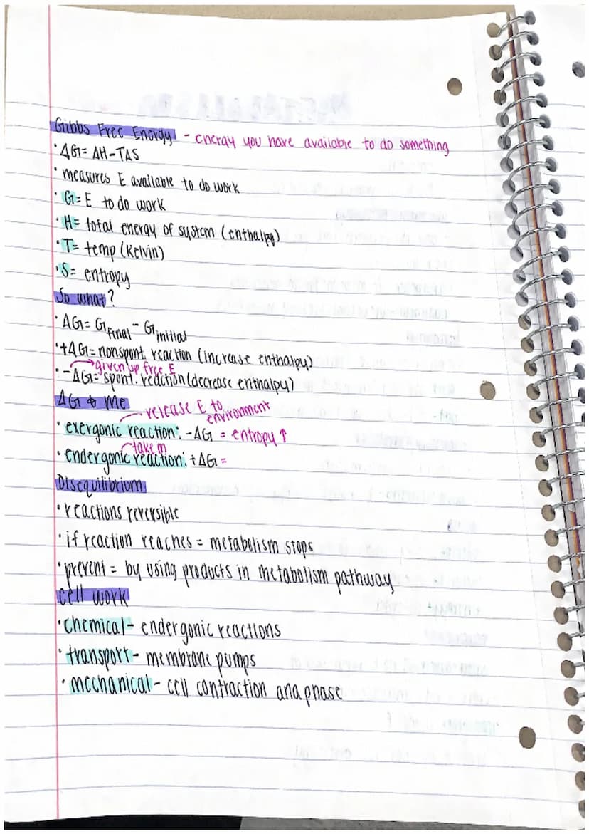Etabolismy
metabolism
'emergent
•due to all chemical recations
metabolic pathways
-convert reactant into products through series of enz-cata