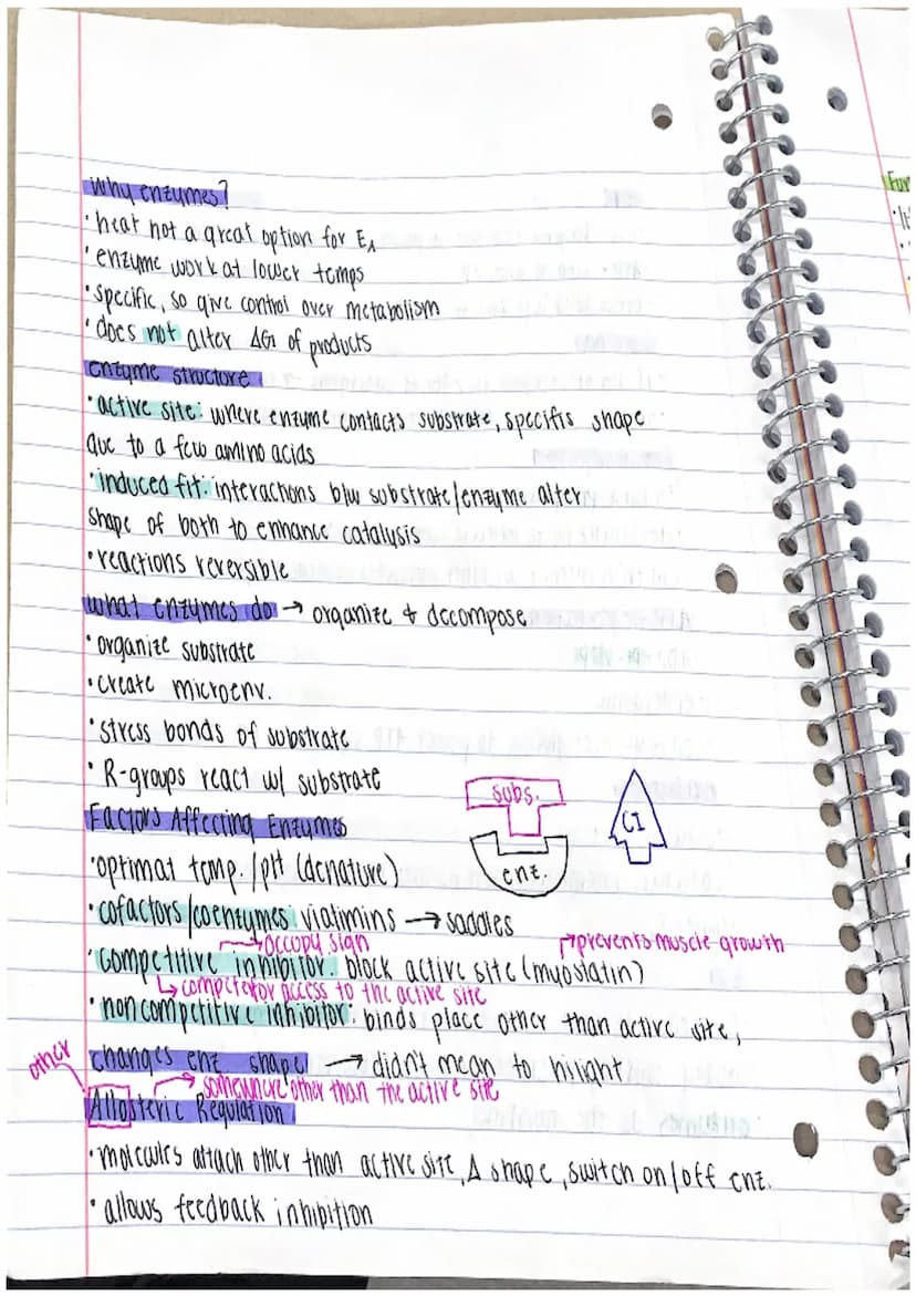 Etabolismy
metabolism
'emergent
•due to all chemical recations
metabolic pathways
-convert reactant into products through series of enz-cata