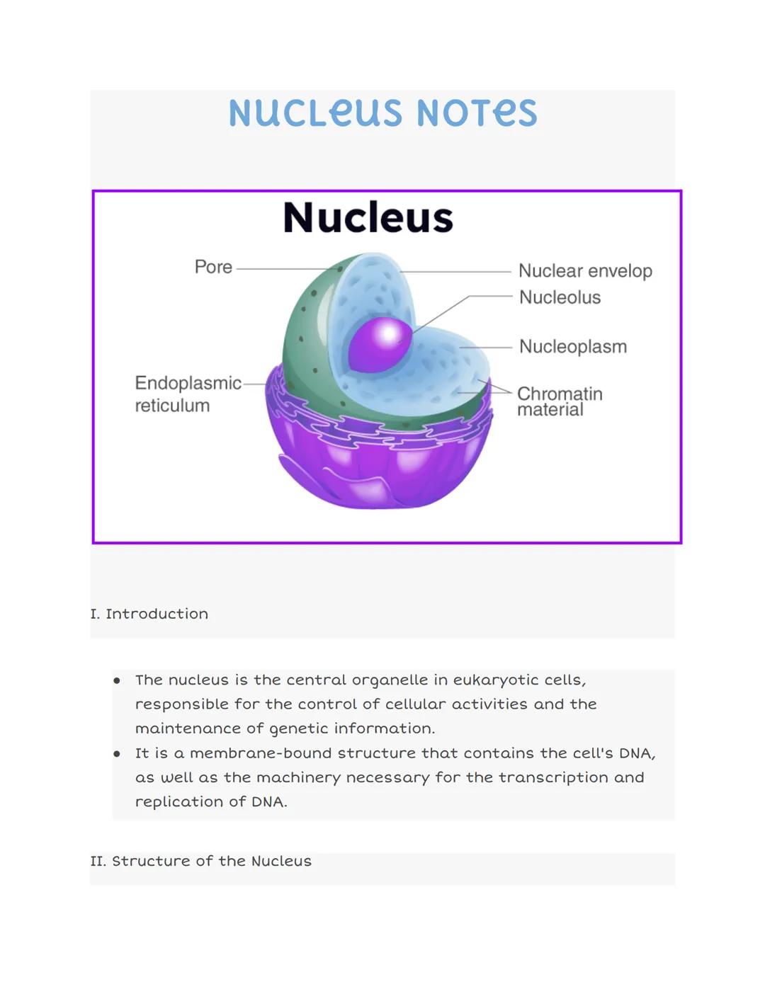 nucleus 