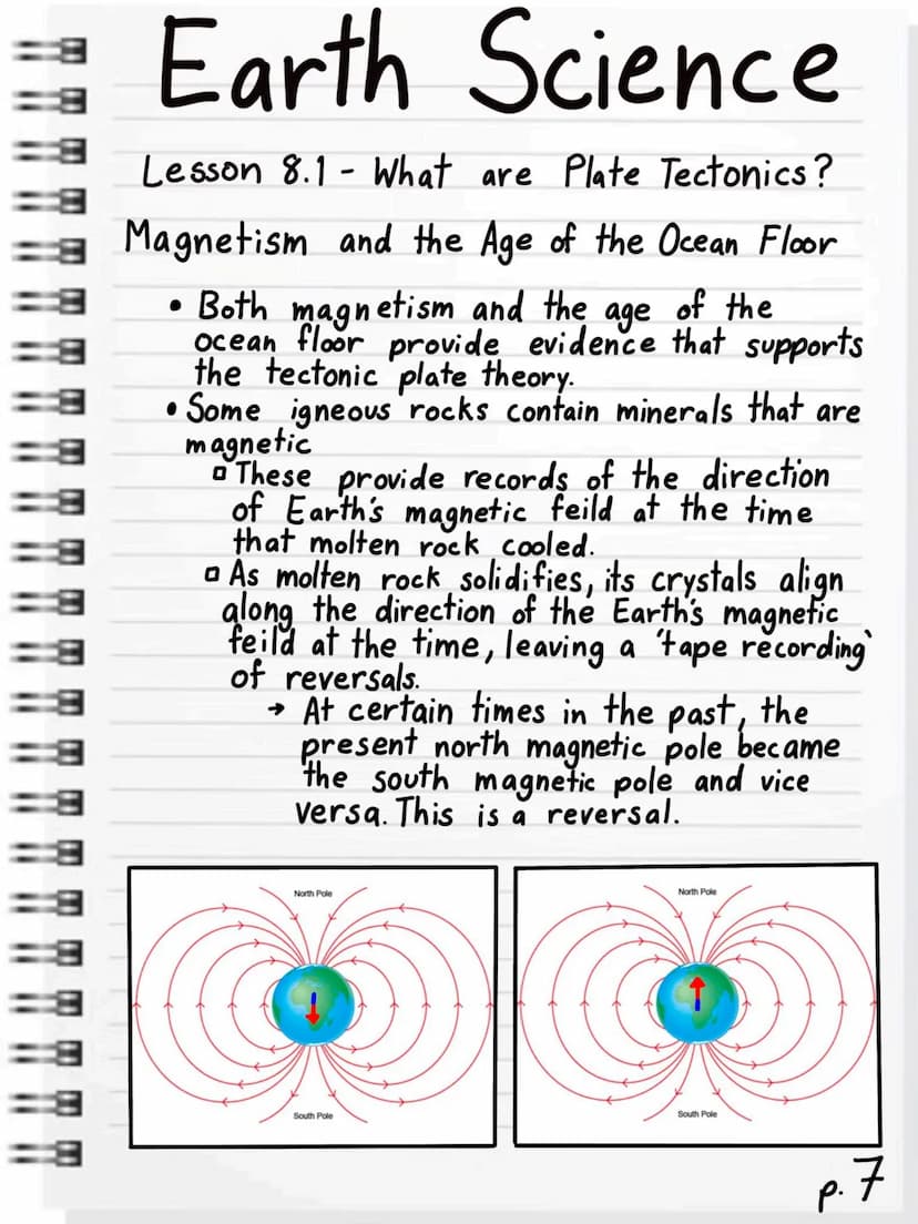 
<p>The theory of plate tectonics is a concept that explains the movement, formation, and interactions of Earth's lithospheric plates. These