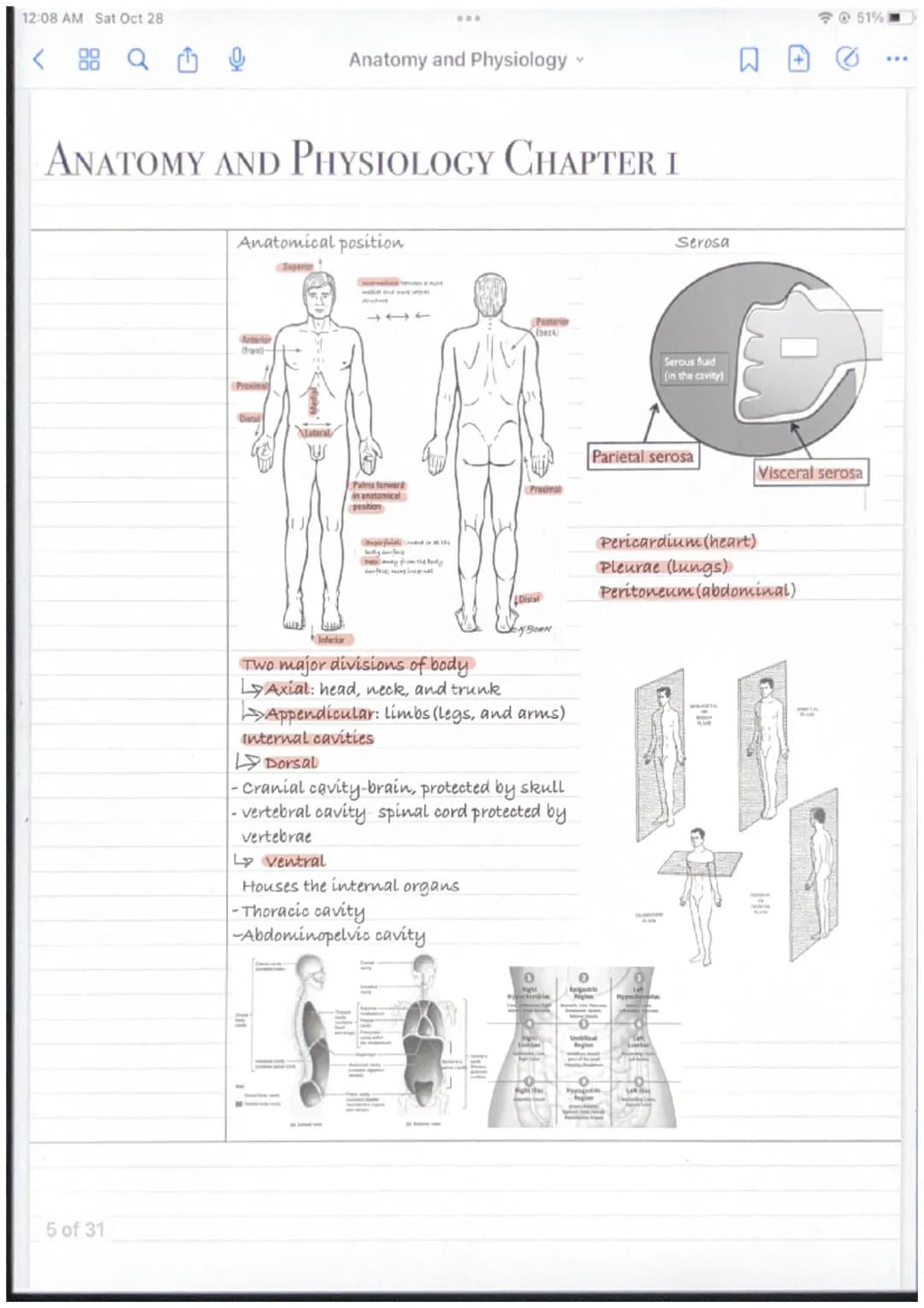 12:08 AM Sat Oct 28
ANATOMY AND PHYSIOLOGY CHAPTER I
Macroscopic: study
of large visible
structures
Regional: all
structures in a
Microscopi
