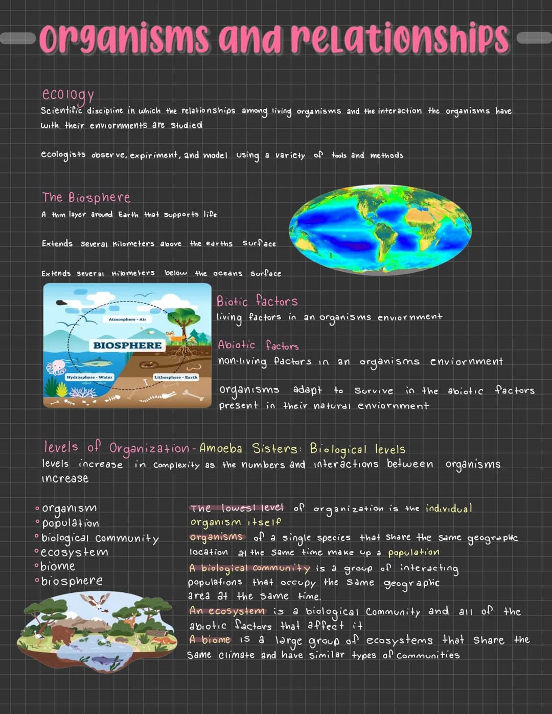 organisms and relationships
ecology
Scientific discipline in which the relationships among living organisms and the interaction the organism