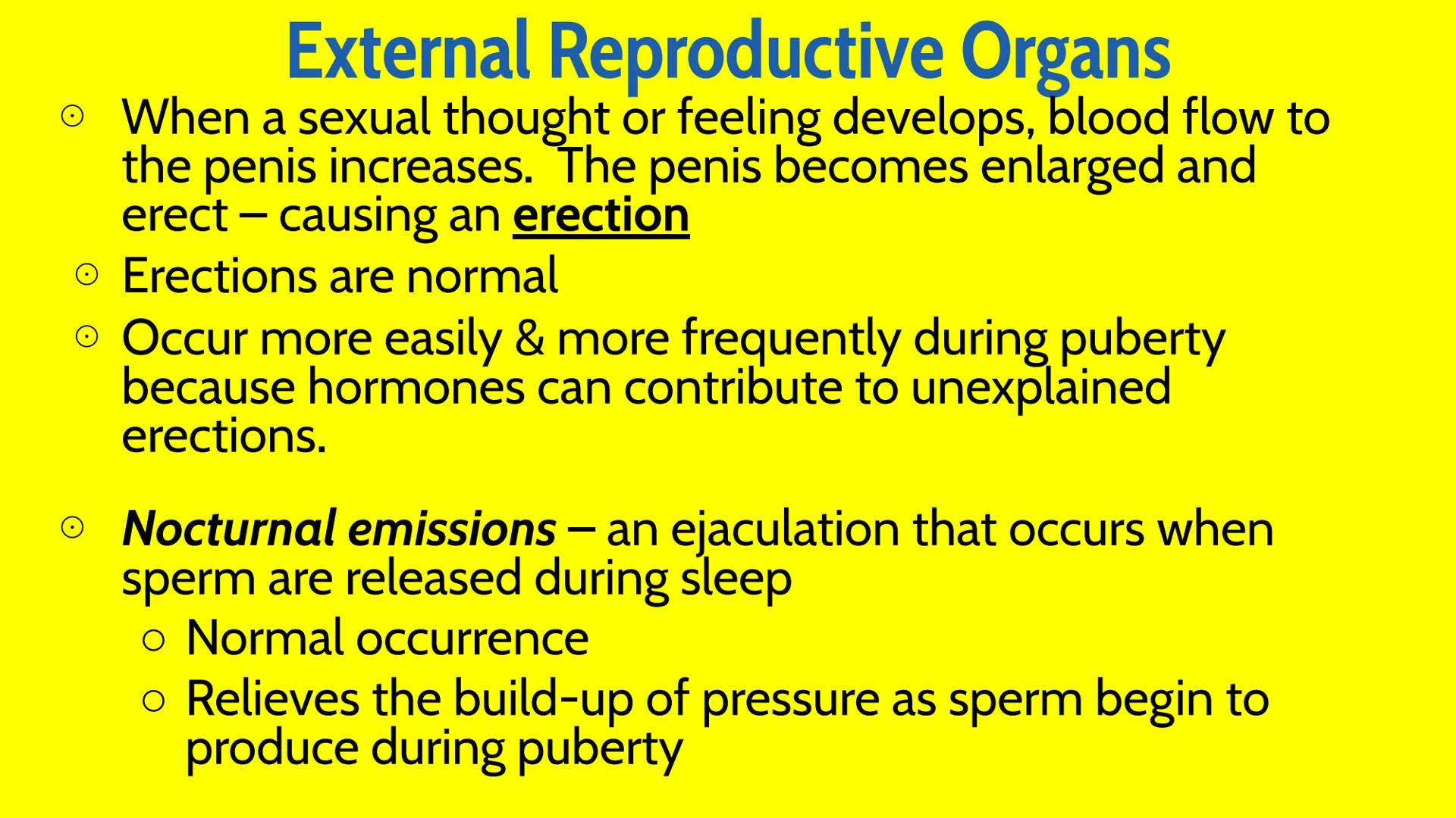 Male Reproductive System How Male Reproduction Works
Main Idea
The male reproductive system includes both
external and internal organs that,