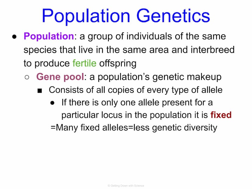 Population Genetics and
Hardy Weinberg Equilibrium
© Getting Down with Science Key Terms
allele: one of a number of alternative forms of the