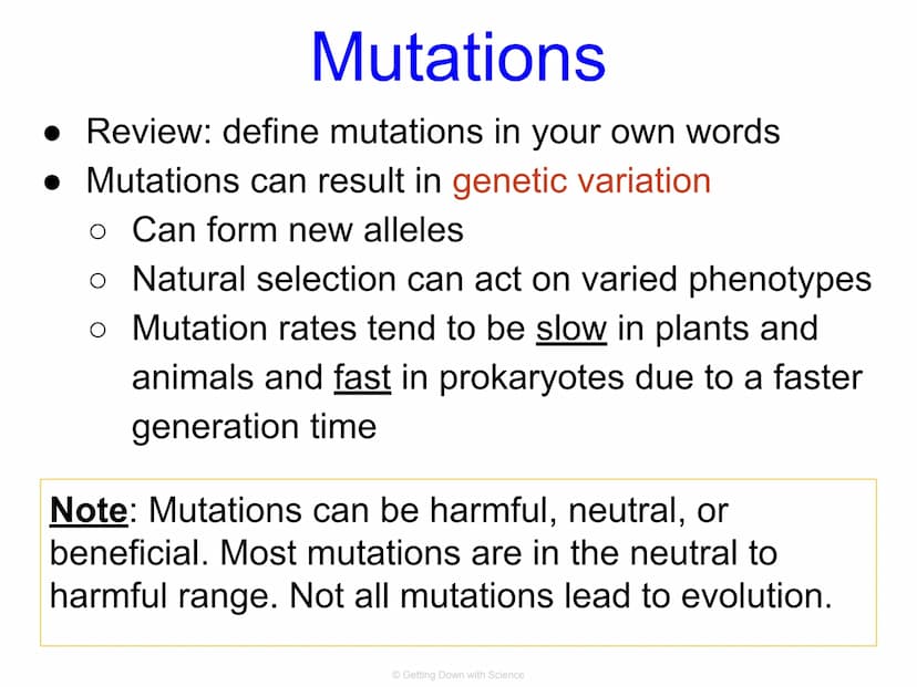 Population Genetics and
Hardy Weinberg Equilibrium
© Getting Down with Science Key Terms
allele: one of a number of alternative forms of the