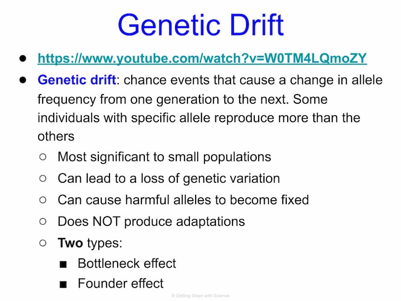 Population Genetics and
Hardy Weinberg Equilibrium
© Getting Down with Science Key Terms
allele: one of a number of alternative forms of the