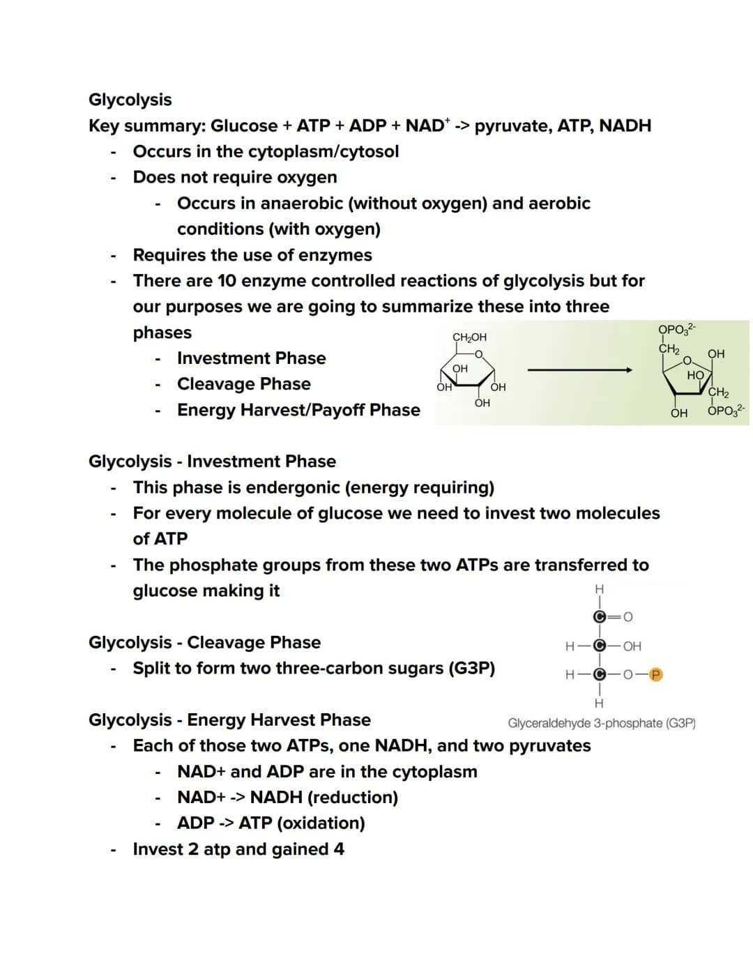 Videos
Cellular Respiration Overview:
https://youtu.be/00jbG cfGuQ
Glycolysis: https://youtu.be/FE2jfTXAJHg
Glycolysis Song: https://youtu.b