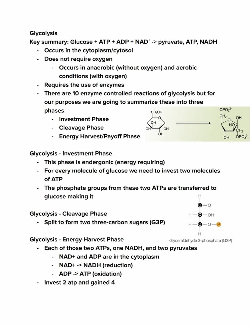 Videos
Cellular Respiration Overview:
https://youtu.be/00jbG cfGuQ
Glycolysis: https://youtu.be/FE2jfTXAJHg
Glycolysis Song: https://youtu.b