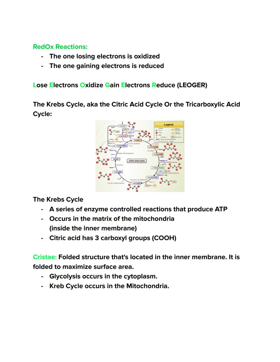Videos
Cellular Respiration Overview:
https://youtu.be/00jbG cfGuQ
Glycolysis: https://youtu.be/FE2jfTXAJHg
Glycolysis Song: https://youtu.b